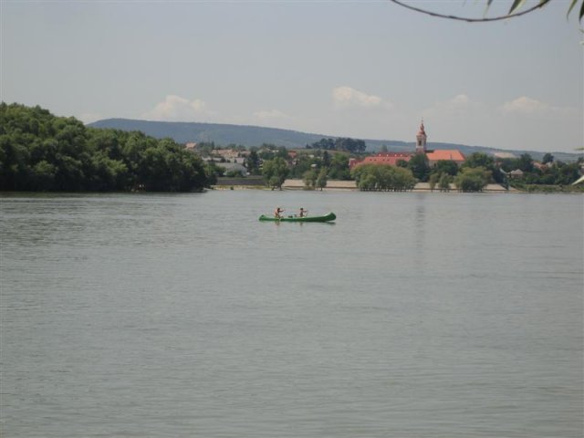DSC05780 (Medium)